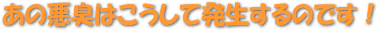 あの足の悪臭はこうして発生するのです！
